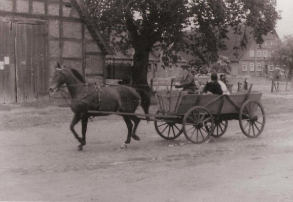 Einspänner mit Leiterwagen