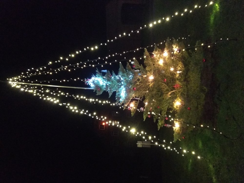 Foto: Rainer Ginnuth