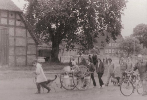 Fußgänger mit Hundekarren und Fahrrädern