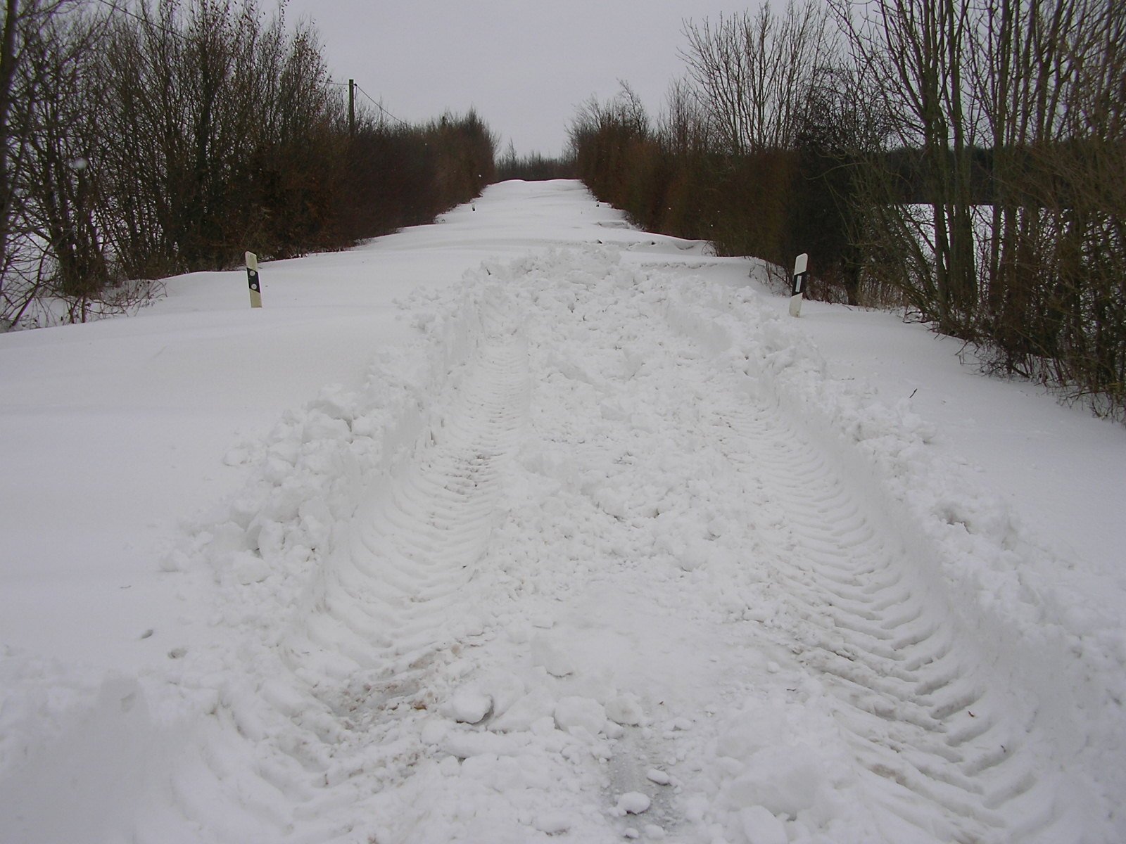 beide Bilder von heute Vormittag