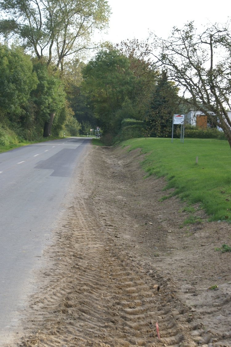 Das zukünftige Sumpfgebiet? Jedenfalls kaum aufgrund von Parteispenden