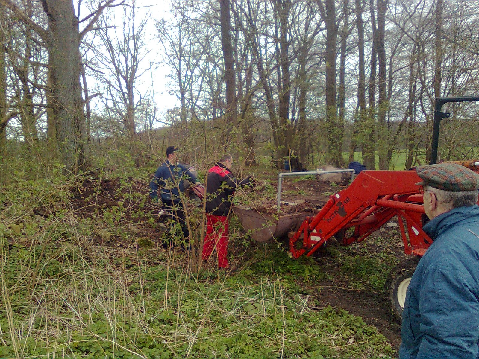 Auf die Bäume, der Wald wird gefegt