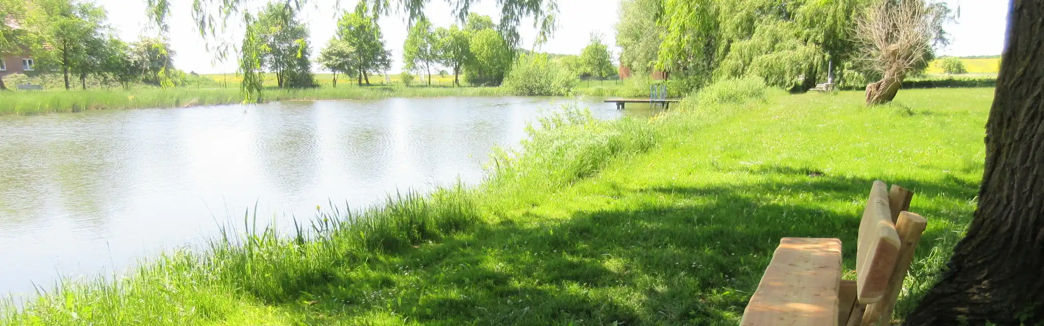 Aktuelles